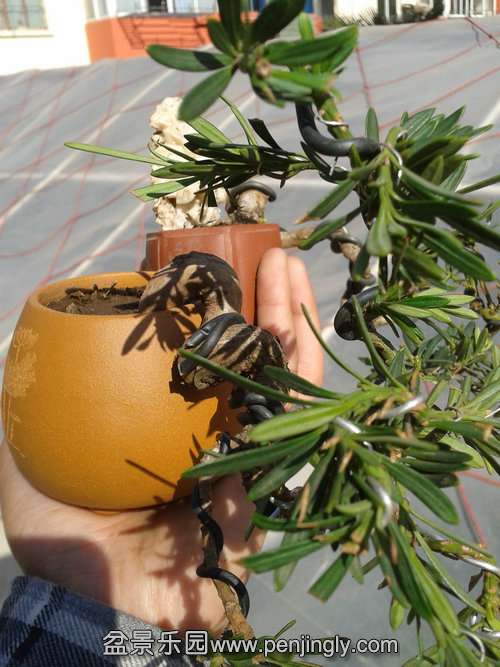 2014-01-23 13.18.06.jpg