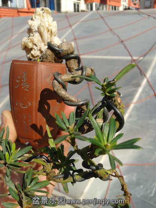 2014-01-23 13.19.06.jpg