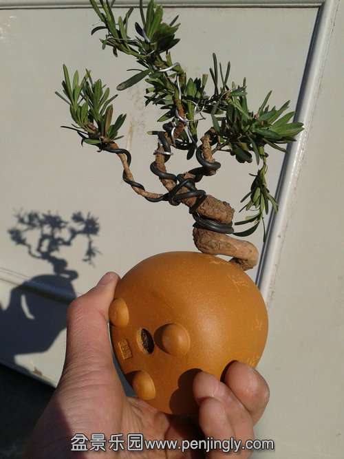 2014-01-23 14.34.47.jpg