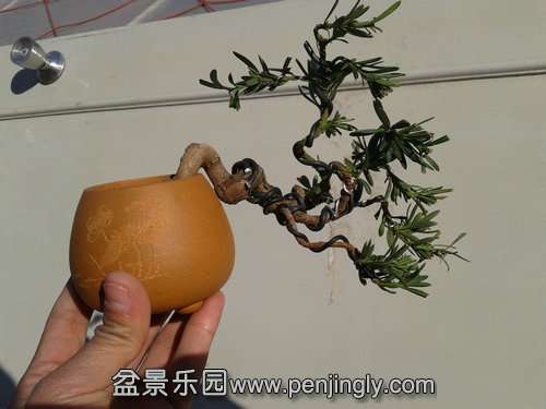 2014-01-23 14.35.47.jpg