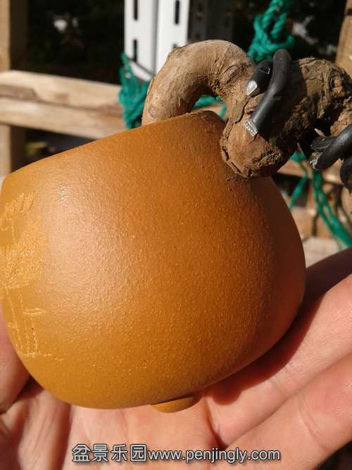 2014-01-23 14.37.39.jpg