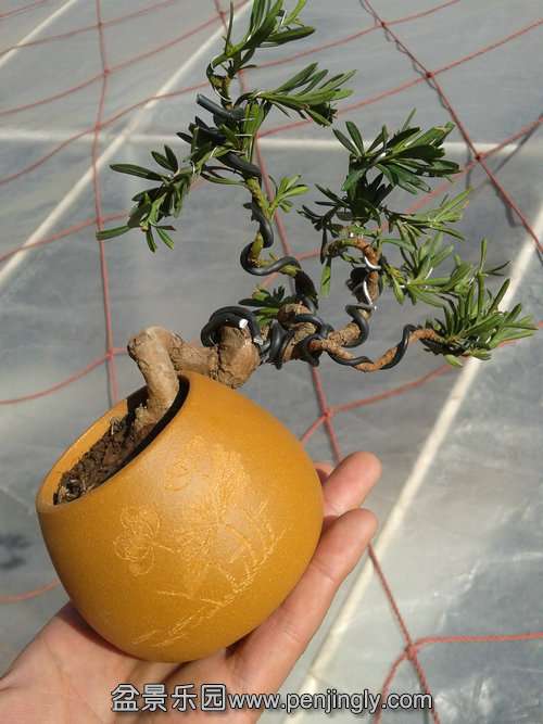 2014-01-23 13.13.30.jpg