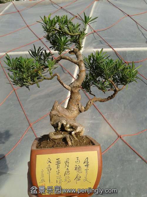 2014-01-23 14.03.53.jpg