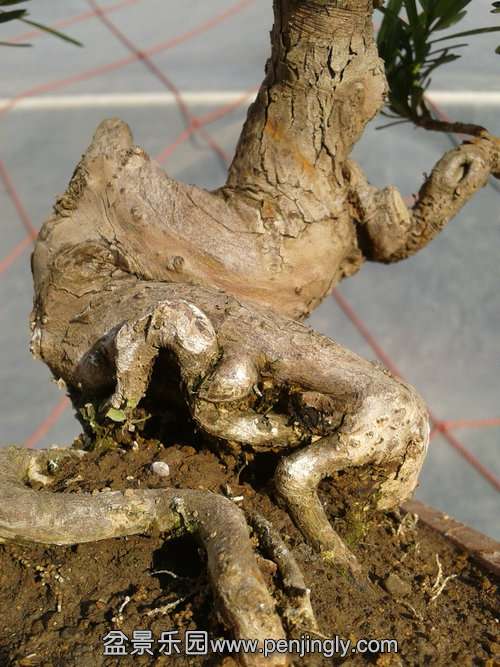 2014-01-23 14.04.13.jpg