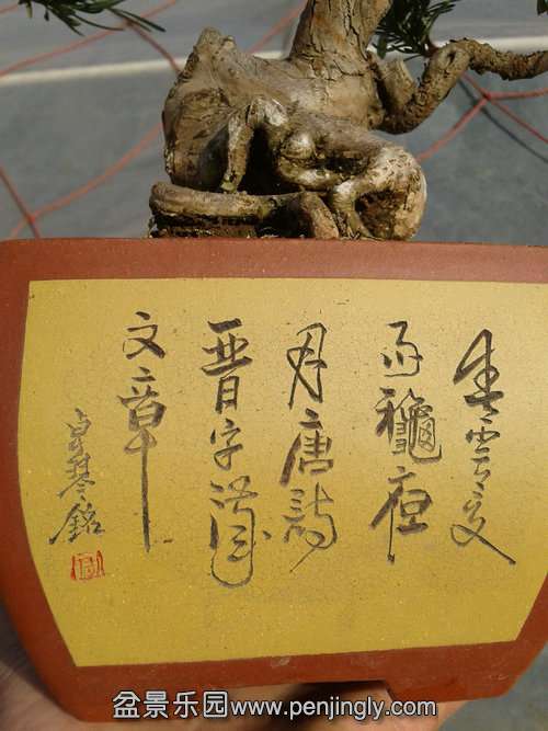 2014-01-23 14.04.36.jpg