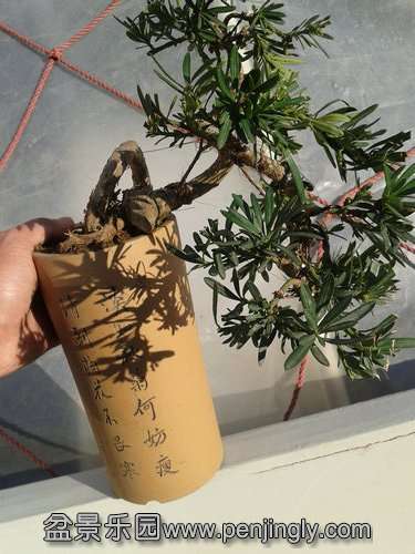 2014-01-23 14.23.49.jpg