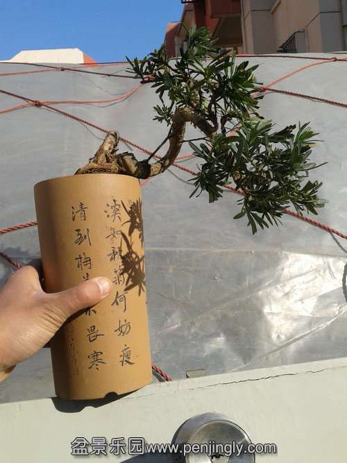 2014-01-23 14.26.55.jpg