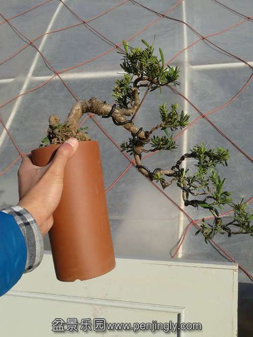 2014-01-23 14.29.14.jpg