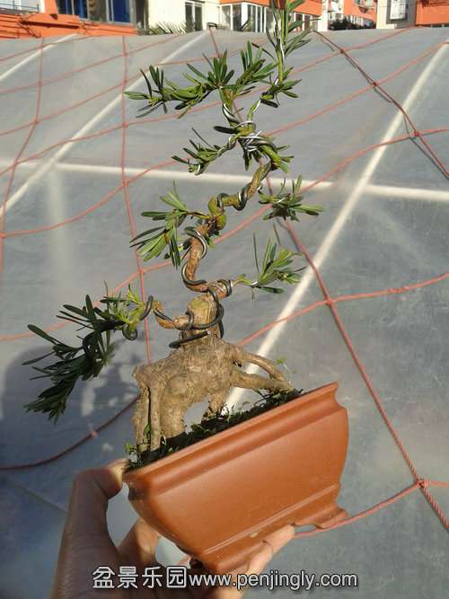 2014-01-23 14.40.39.jpg