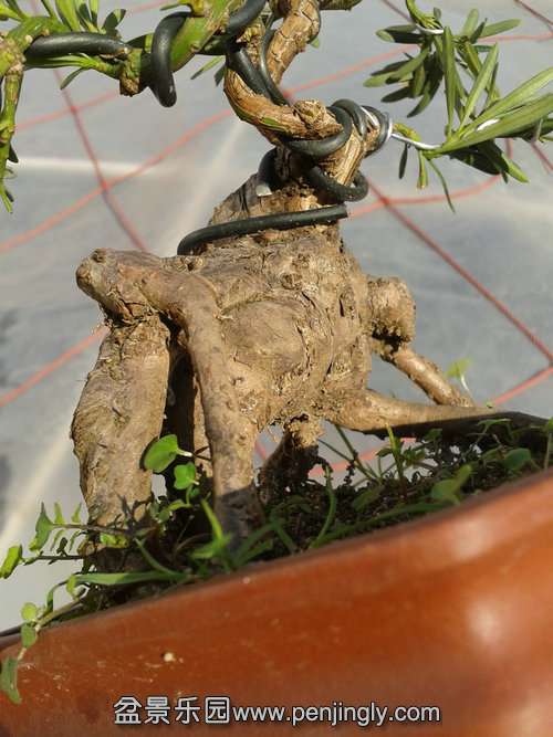 2014-01-23 14.41.30.jpg