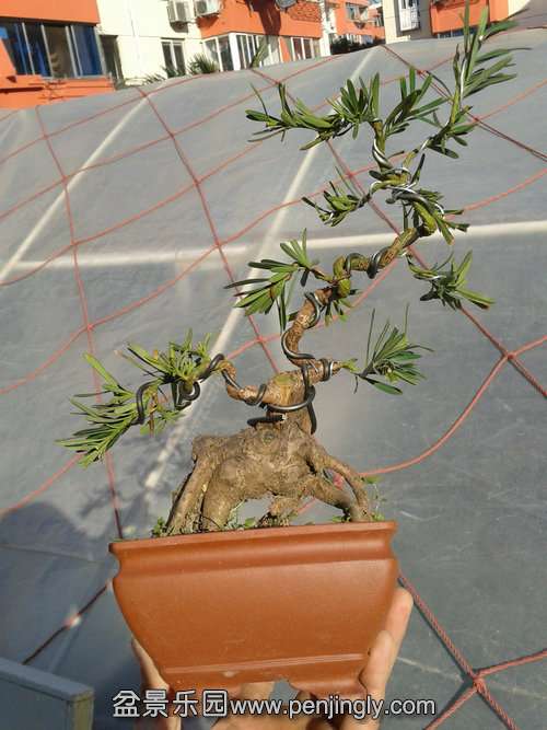 2014-01-23 14.42.03.jpg