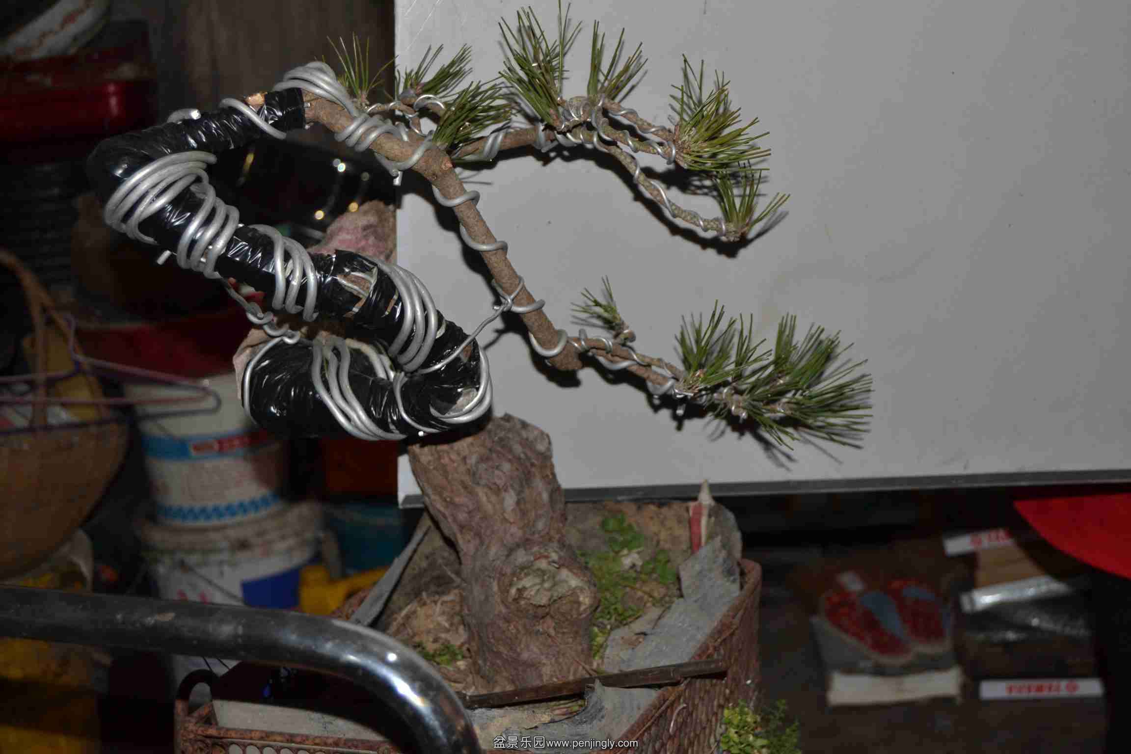 2014-01-25 021.jpg