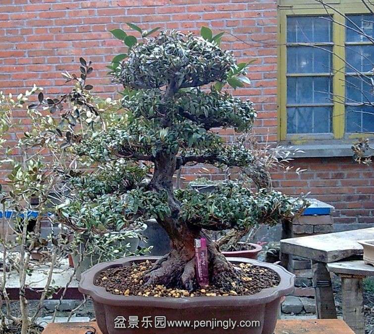 QQͼƬ20140126180723.jpg