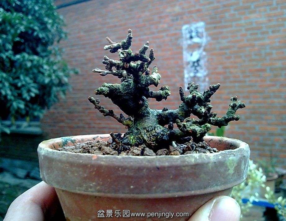 QQͼƬ20140126180845.jpg