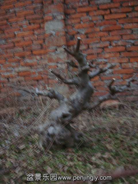DSC04369.JPG