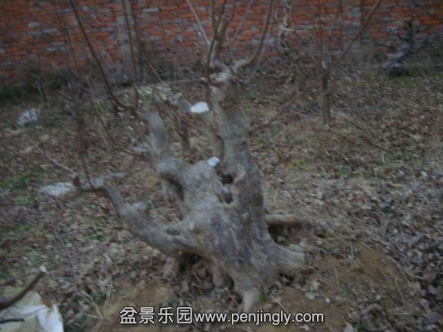 DSC04374.JPG