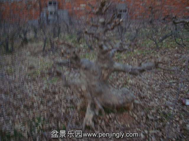 DSC04382.JPG