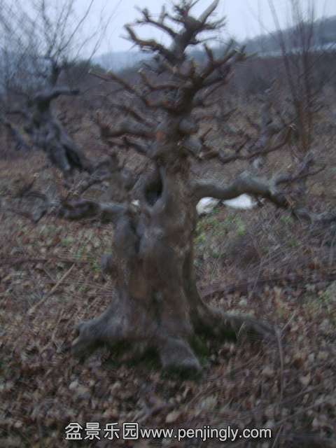 DSC04384.JPG