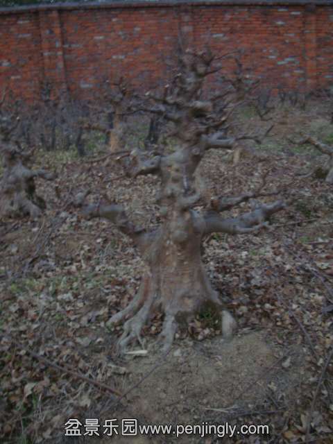 DSC04385.JPG