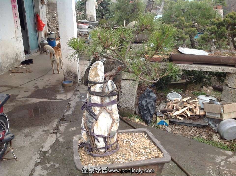 QQͼƬ20140128144011.jpg