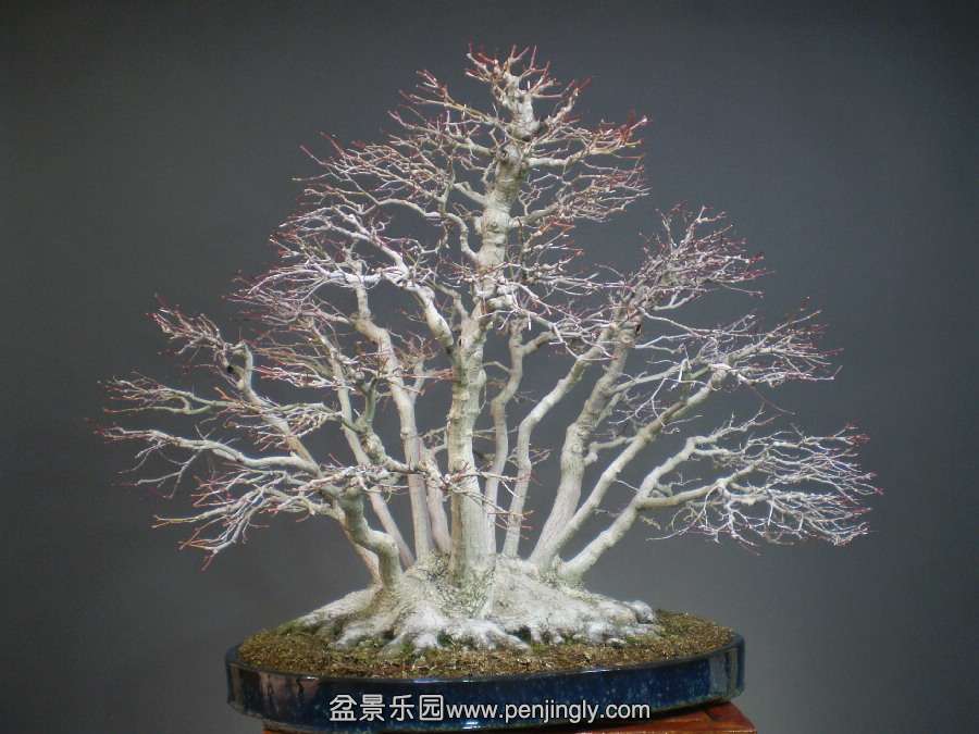 8.JPG
