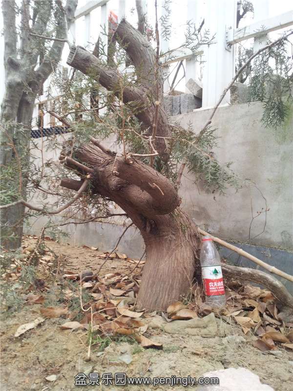 20140115_164607.jpg