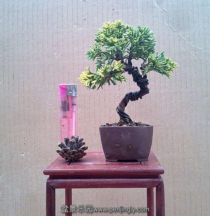 QQͼƬ20140130114118.jpg