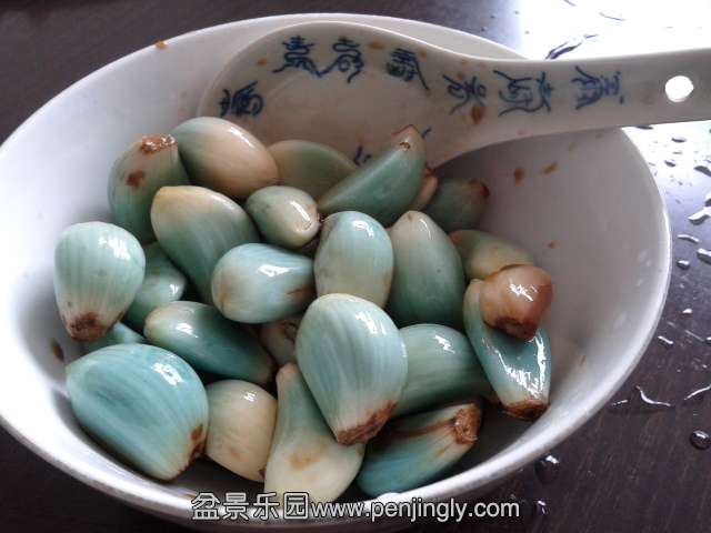 2014-01-30 14.05.16.jpg