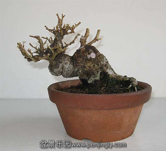 image3 (2).jpg