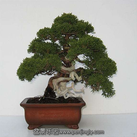 image4 (1).jpg