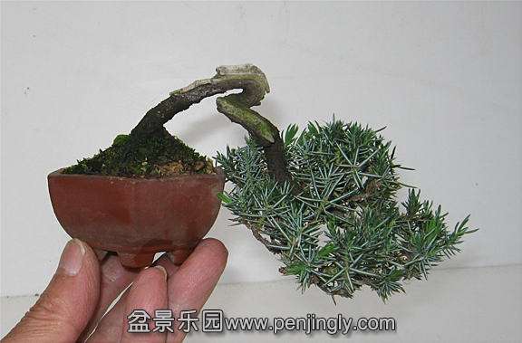 image1412.jpg