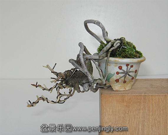 image111014.jpg