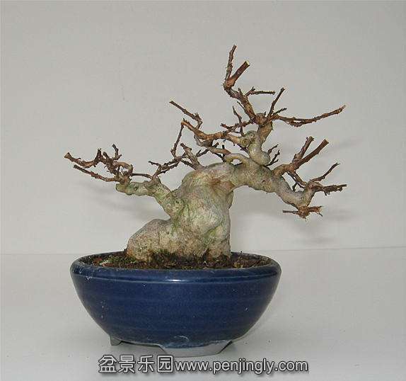 image311413.jpg