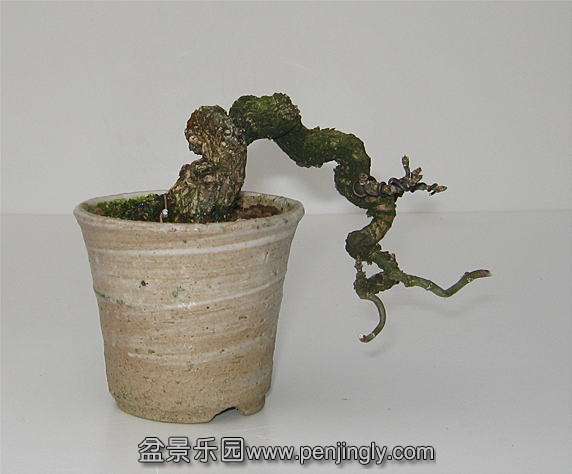 image311430.jpg
