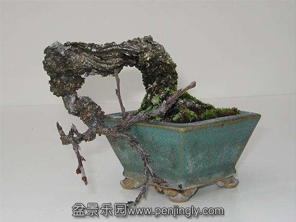 image311449.jpg