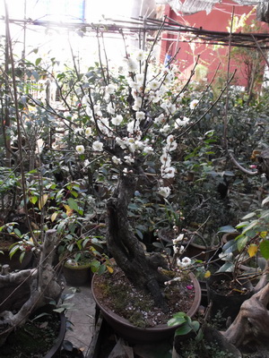 DSCF0134_С.jpg
