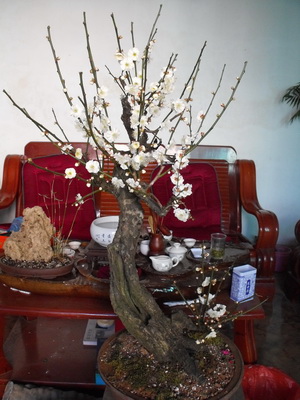 DSCF0135_С.jpg