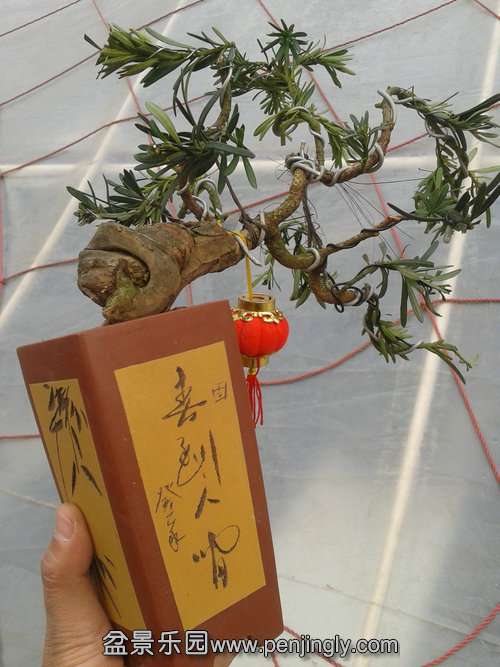 2014-01-30 15.31.55.jpg
