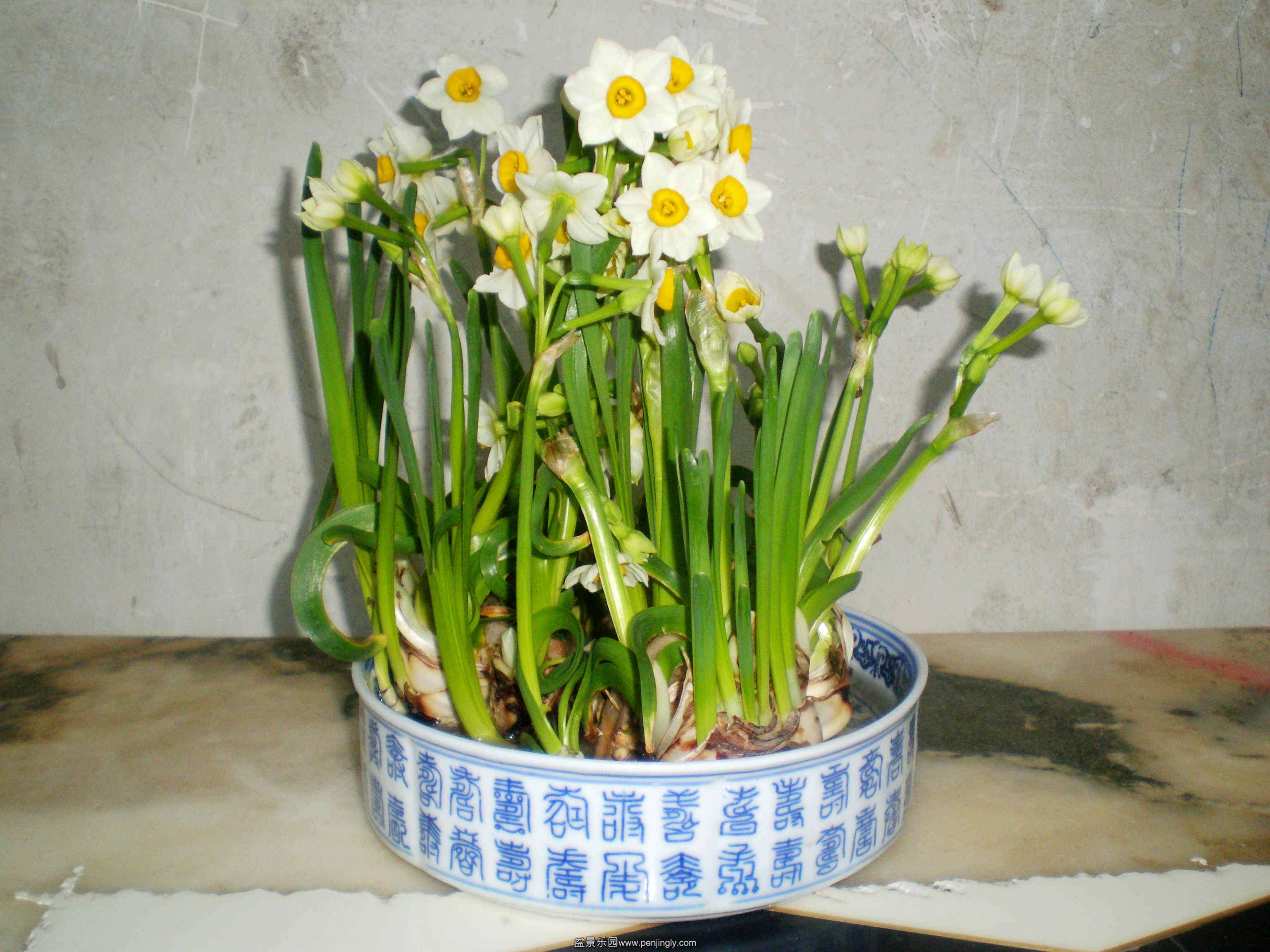 P1010217.JPG