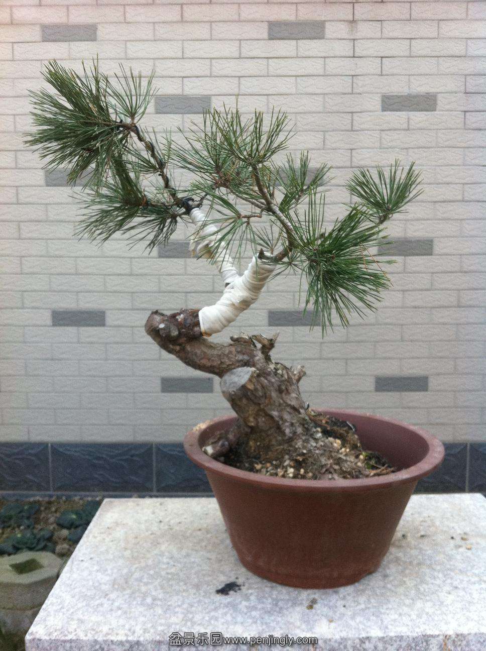 20131228200 015.jpg