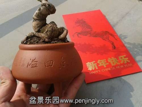 2014-02-01 12.06.54.jpg