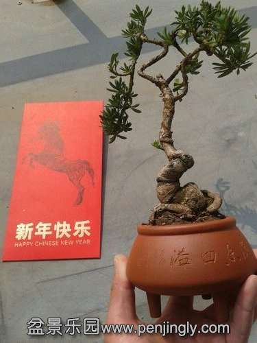 2014-02-01 12.06.00.jpg