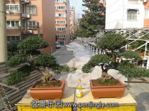 2014-01-31 14.25.16.jpg