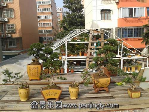 2014-01-31 14.26.21.jpg