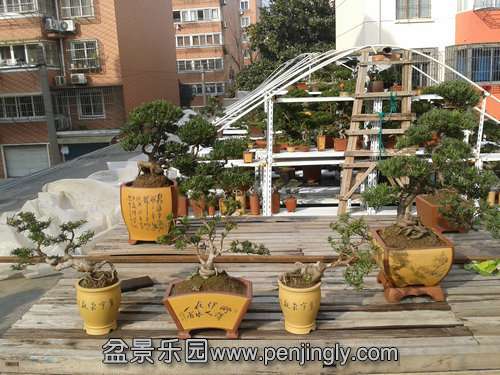 2014-01-31 14.28.34.jpg