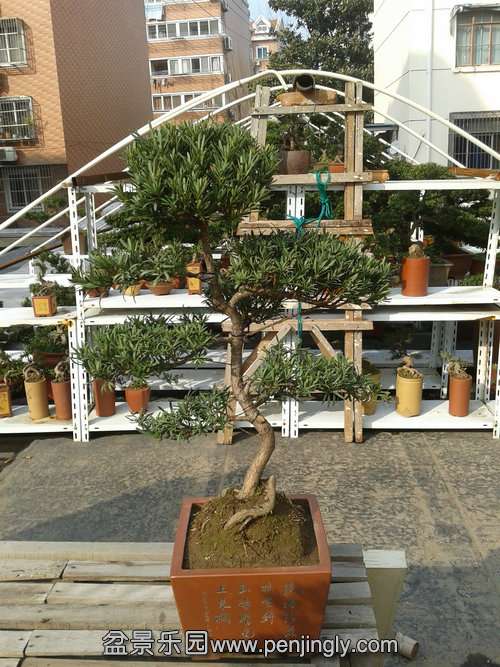 2014-01-31 14.33.23.jpg