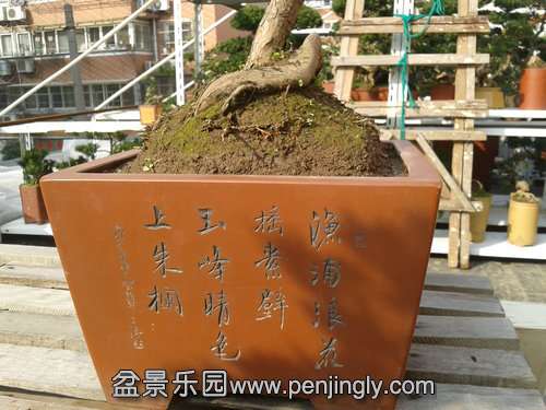 2014-01-31 14.33.39.jpg