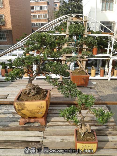 2014-01-31 14.34.13.jpg