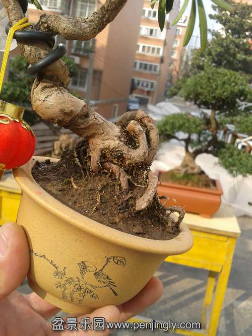 2014-01-31 15.03.41.jpg