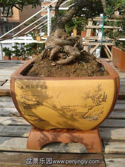 2014-01-31 14.34.29.jpg